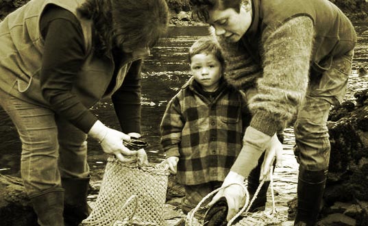 Harvesting Kaimoana.