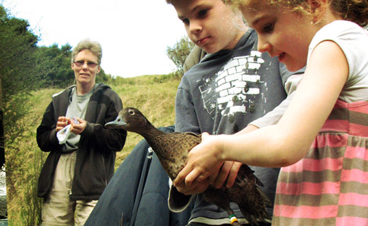 Kids releasing a bird.