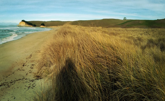 The beach.