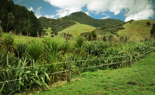 Riparian.