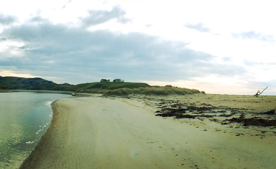 The beginning of the Estuary.