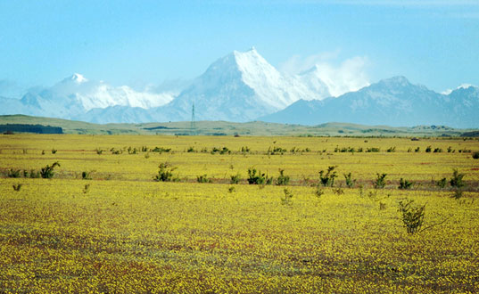 Snow capped mountains.